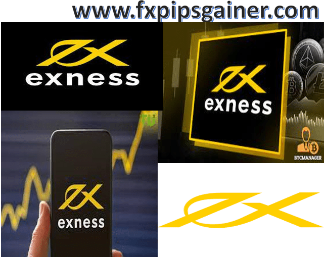 Explore Financial Freedom with Exness