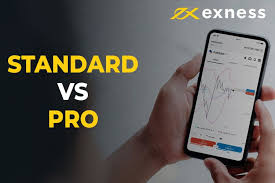 Explore Financial Freedom with Exness