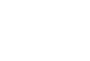 logo-AMS