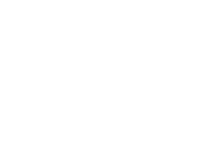 Payment Processing Consultants (PPC)
