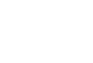 shop pos portal